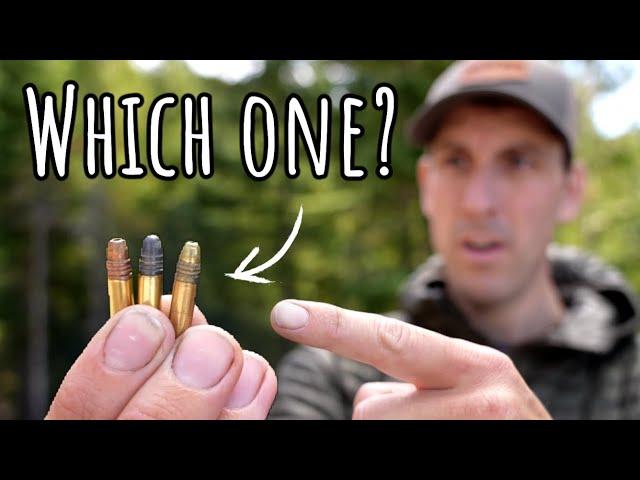 BEST 22LR Ammo for Grouse Hunting and Small Game Hunting!