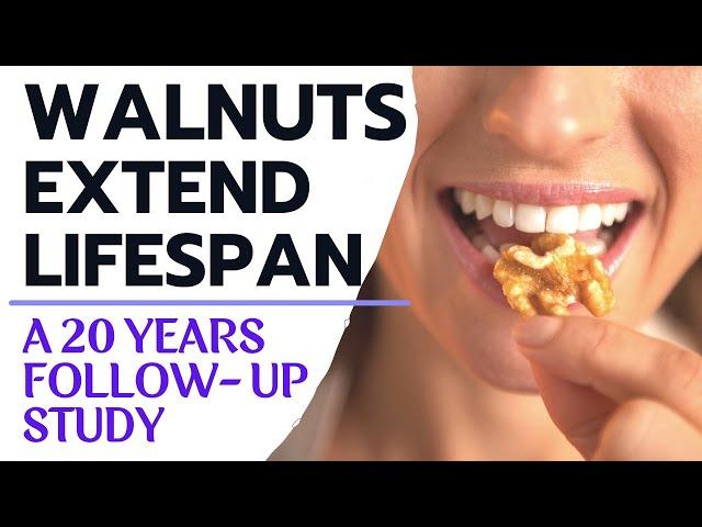 Walnuts Extend Lifespan | A 20 Year Follow-Up Study | Study Review By Modern Healthspan