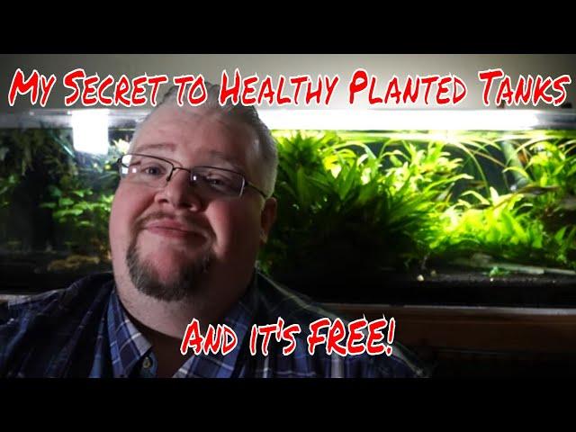 My #1 Secret to Successful Planted Fish Tanks - Master Aquatic Horticulturist's Pro Tip