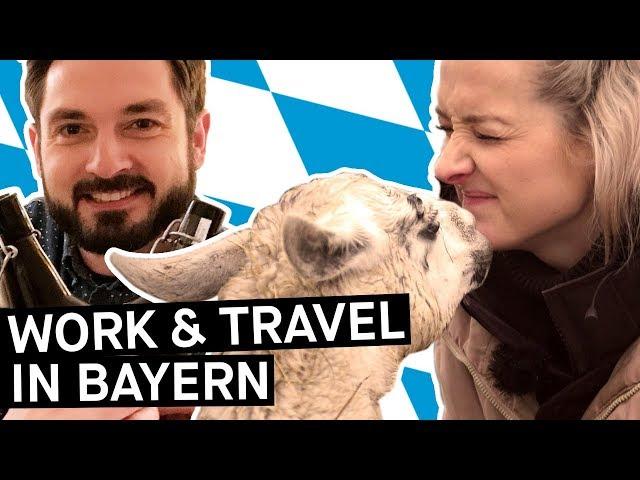 Work & Travel in Deutschland – Wer macht sowas eigentlich? || PULS Reportage