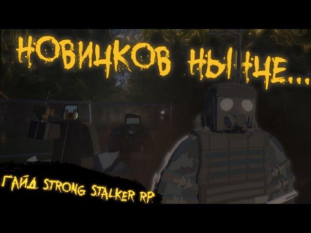 Гайд по Strong STALKER RP | Что такое СЗД? Как пользоваться Детекторами? Что такое ПКА?