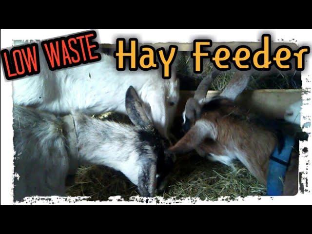 Low Waste Hay Feeder for Goats - Meet Our Newest Goat