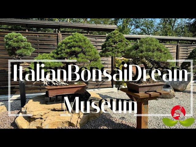 ItalianBonsaiDream Museum