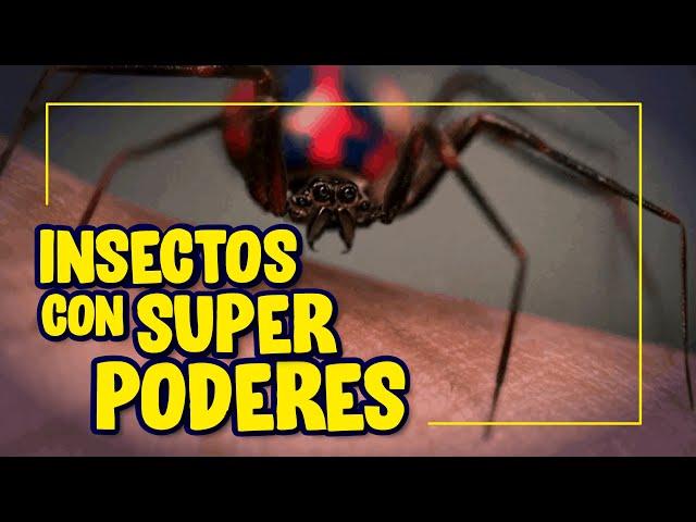 Insectos con SUPERPODERES de COMICS!!!