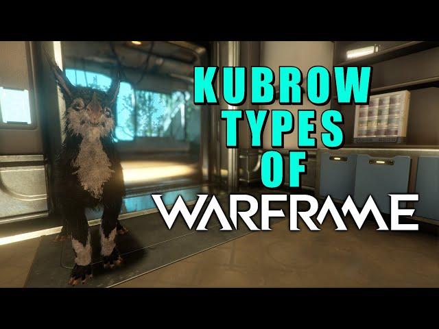 Kubrow Types of Warframe – How to get them & how they act - QuadLyStop