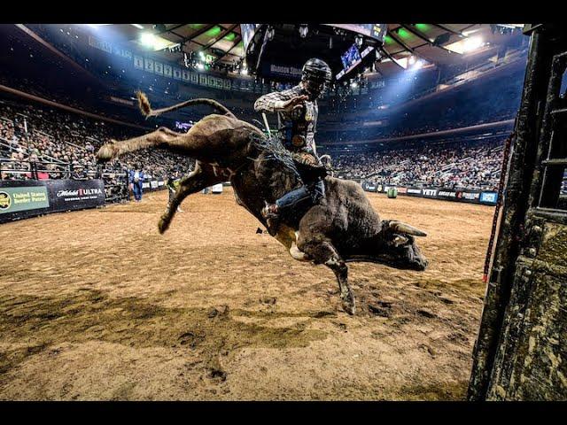 Riding the Beast For 8 Seconds: PBR Unleash The Beast Returns to Rosemont