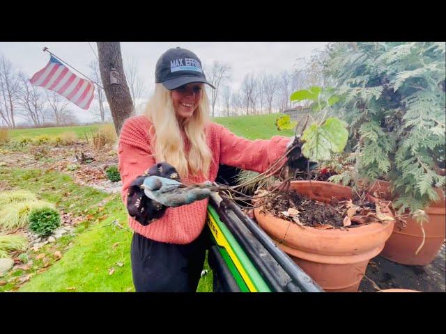 Fall Gardening In Michigan, Transplanting Brunnera From Pots to the Ground, Random Gardening Cleanup