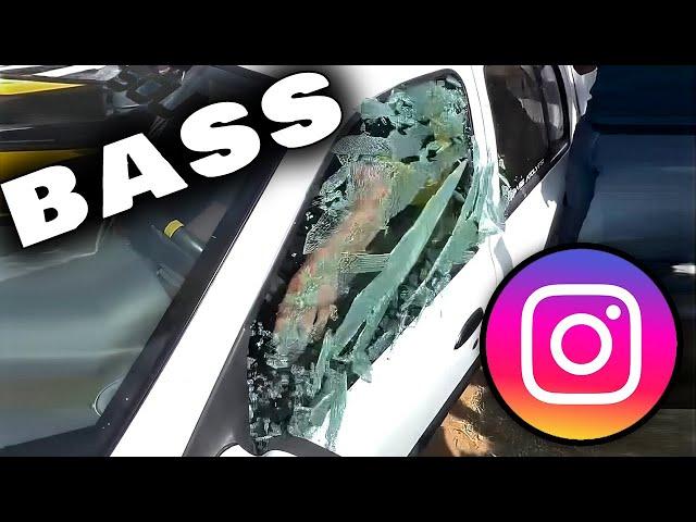 Instagram Feeds Me BASS Videos!