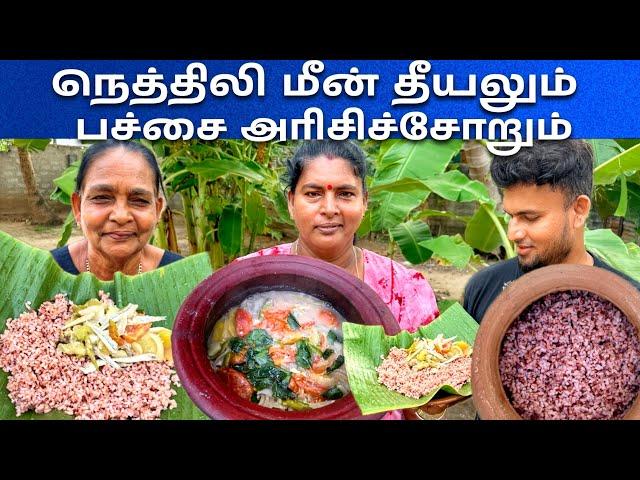 நெத்திலி மீன் தீயலும் பச்சை அரிசிச்சோறும் | Jaffna | Sun Thanesh