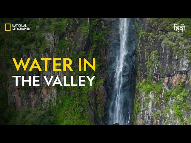 Water in the Valley | Primal Survivor | हिन्दी | Full Episode | S7 - E2 | National Geographic