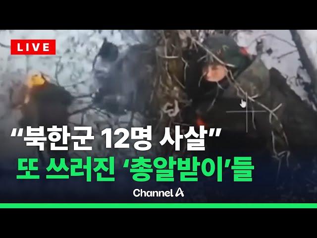 우크라 특수군 "러 쿠르스크서 북한군 12명 사살" …러 파병 북한군 사상자 증가  / 채널A / [라이브를 켜라]