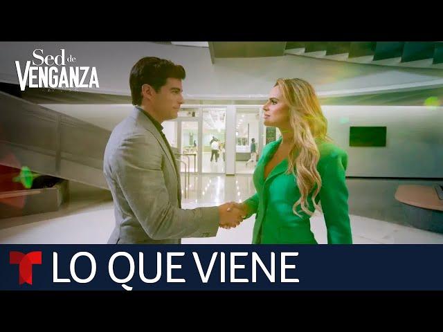 Sed de Venganza: primera mirada del nuevo drama original | Telemundo