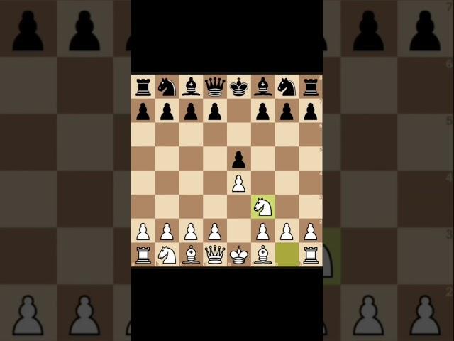 Trap for Beginners #chess #chesstricks #chessopenings #chesstrapsforbeginners #chesstraps #brick__a1