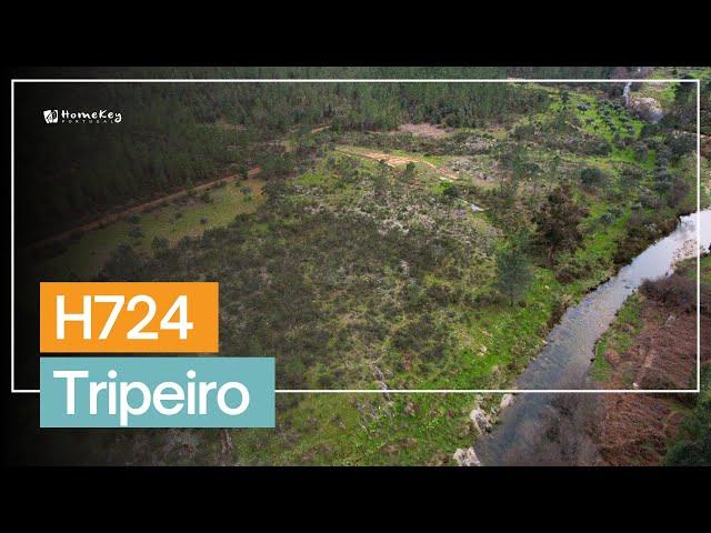  Serenity in Portugal: Rustic Property of 5,6 Hectares Bordering a River! H724 Tripeiro - €45,000