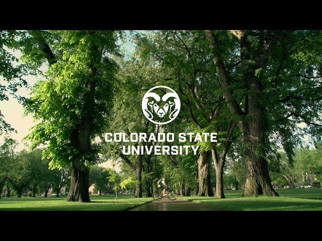 Colorado State University: Together. We Continue.