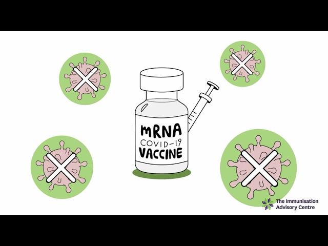 How does the Pfizer/BioNTech COVID-19 mRNA vaccine work?