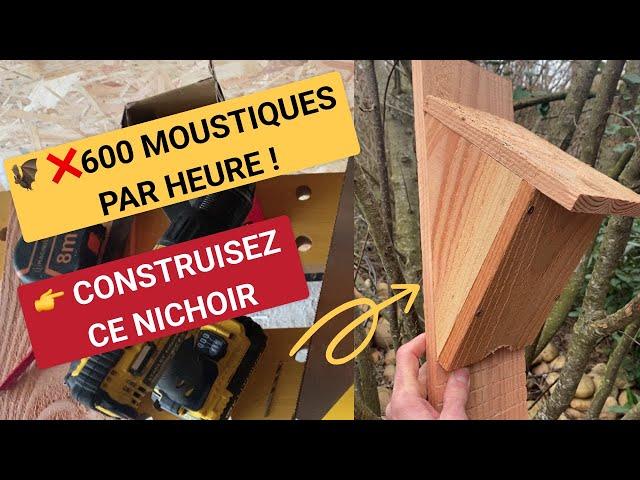 Elles mangent 600 moustiques par heure : Construisez ce nichoir à chauves-souris facile à réaliser