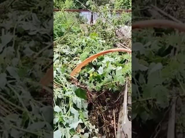 Водоносный Горизонт в действии