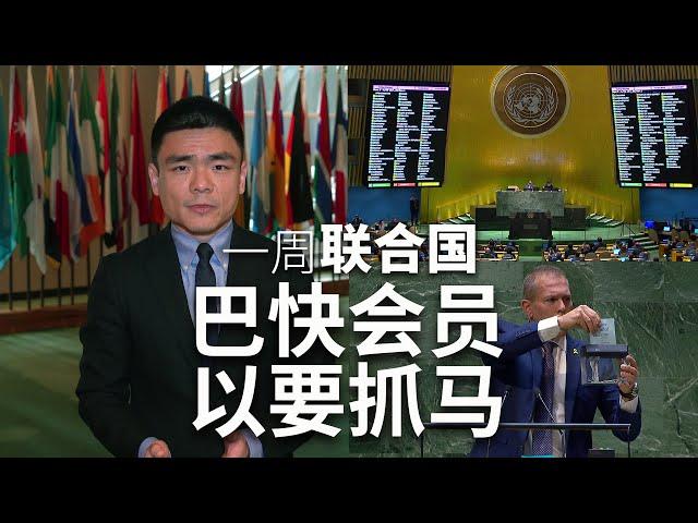 一周联合国：巴近乎会员 以上演抓马