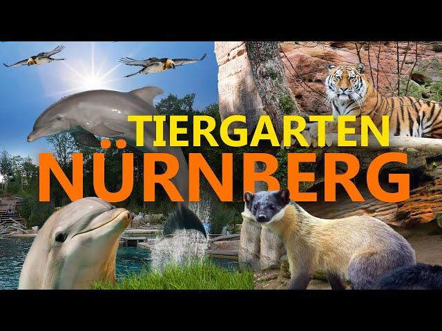 Tiergarten Nürnberg | Zoo Eindruck