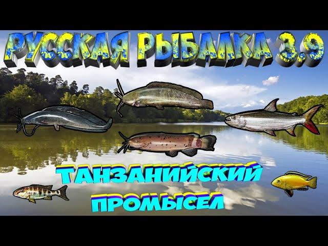 Русская рыбалка 3.9. Танзанийский промысел. Мбамба. Сом Маловийский.