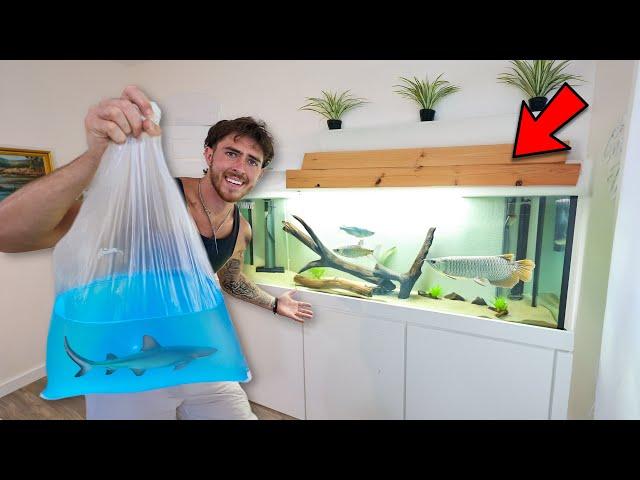 Buying FISH for my NEW MASSIVE TANK in the House (yuh)