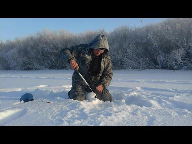 Глухая пора прошла? Щука на жерлицы. Домой с уловом.
