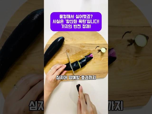 물컹해서 싫어했죠? 사실은 ‘항산화 폭탄’입니다! 가지의 반전 정체! #가지효능 #슈퍼푸드