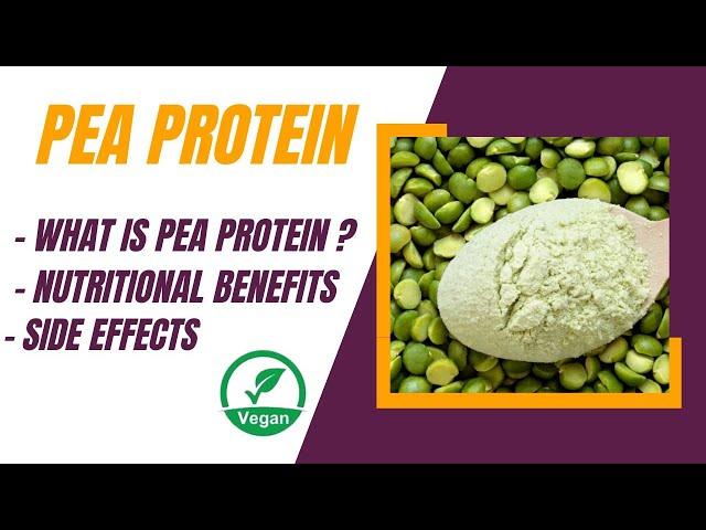 what is pea protein? | Best Plant based Protein | HEALTH INSIDERS