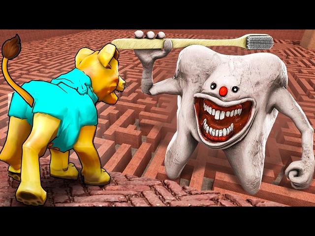 Can INFECTED TOOTH find me in a MAZE?! (Garry's Mod Sandbox)