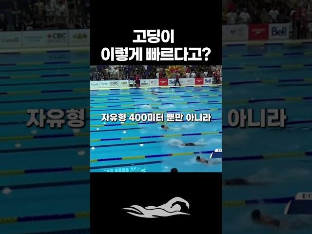 넘사벽 고딩