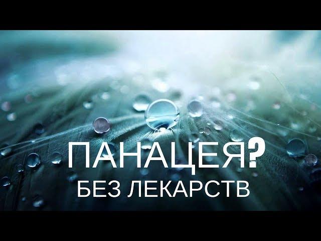 Панацея - как лечить не калеча: профессор Жданов о Ветом