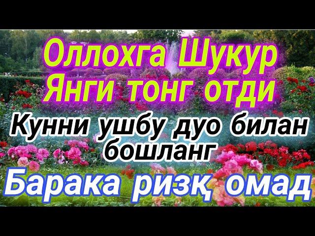 Тонги дуо. Хар кунни ушбу Сура билан бошланг!