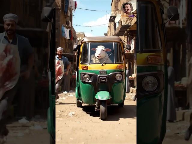 الخروف ساقط وراكب التوك توك – زعبولا شغّال والحارة مولعة!