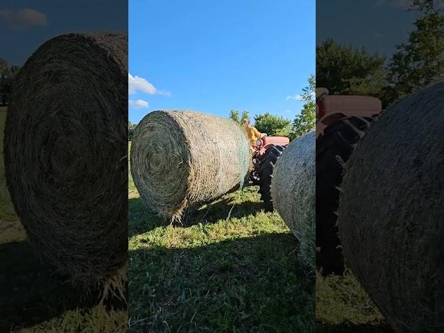 Farming the Homestead: Long days and a lot of hay!