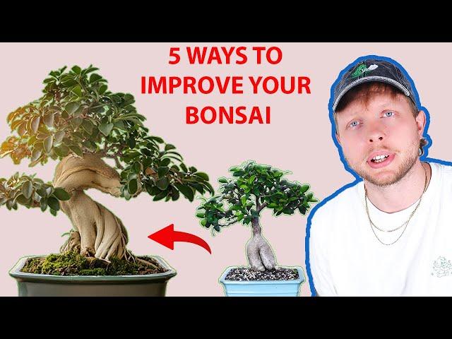 5 METHODS For Better Bonsai From Cheap Plants