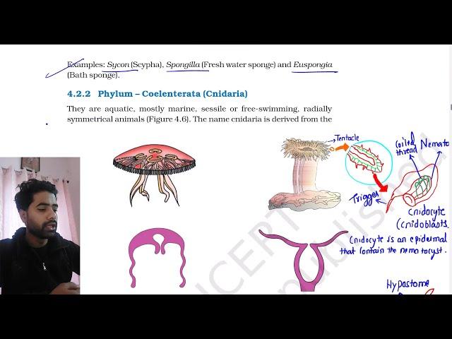 Animal Kingdom Part 2 NCERT line by line Explanation || NCERT ka gyan