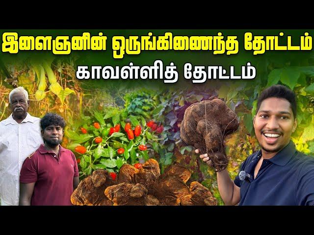 யாழில் இளைஞனின் வியக்க வைத்த தோட்டம்  | Jaffna Garden Tour | Ks shankar | Sri Lanka