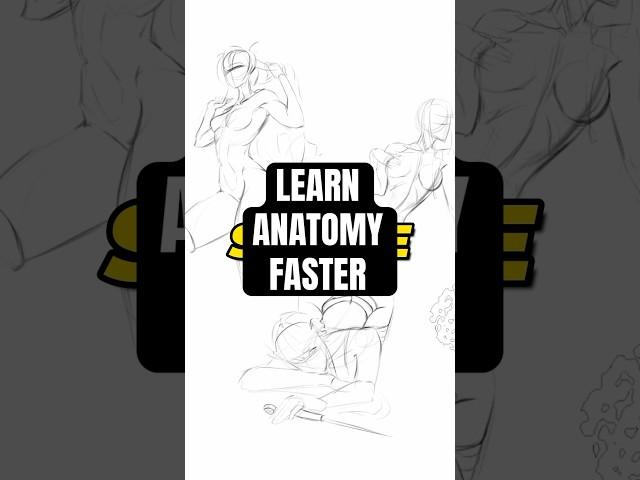 How to QUICKLY Learn Drawing BETTER Anatomy!!
