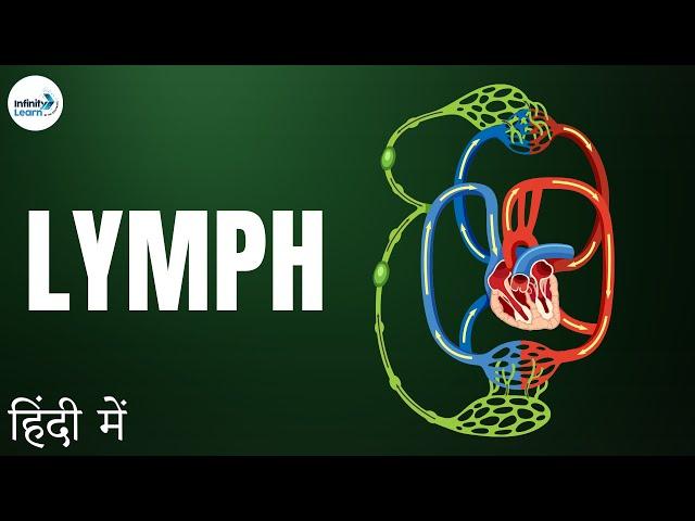 Life Processes - Lesson 25 | Lymph - in Hindi (हिंदी में ) | Infinity Learn