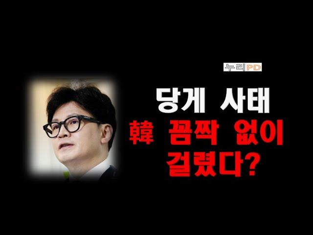 빼박이다/ 한동훈 당게 사태로 끝났다?/누리pd-tv