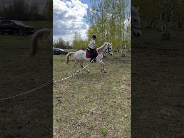 Двигаться #лошади #horse #конники #конныйспорт #лошадь #животные #sports #animals #love #коноблог
