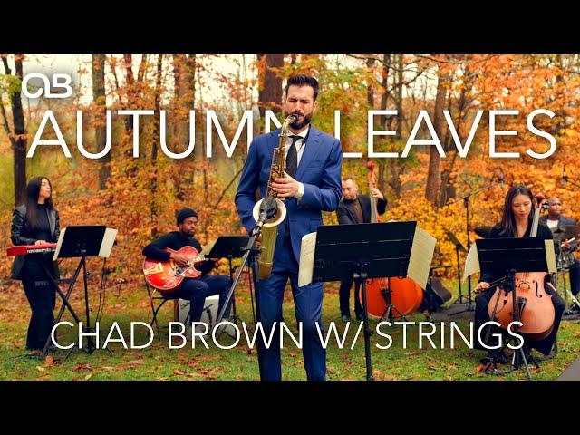 Autumn Leaves - Chad Brown with Strings