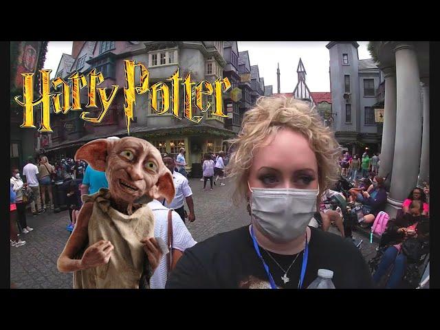 Being a Harry Potter Adult in Universal Studios (feat. The Fam) | Brittany Broski