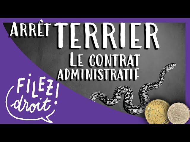 Arrêt TERRIER, Le Contrat Administratif, (Conseil d'Etat, 6 février 1903)