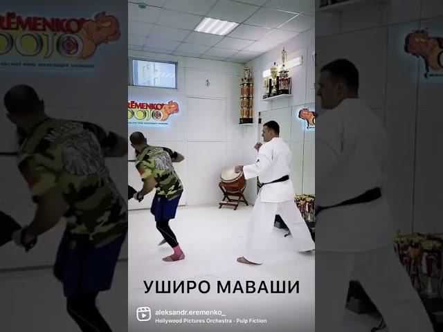 Контратака после Уширо Маваши. Александр Ерёменко и Чемпион Мира – Алехандро Наварро (Испания).