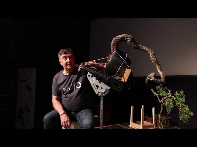 Bonsai demo by Tony Tickle and Sergio Luciani