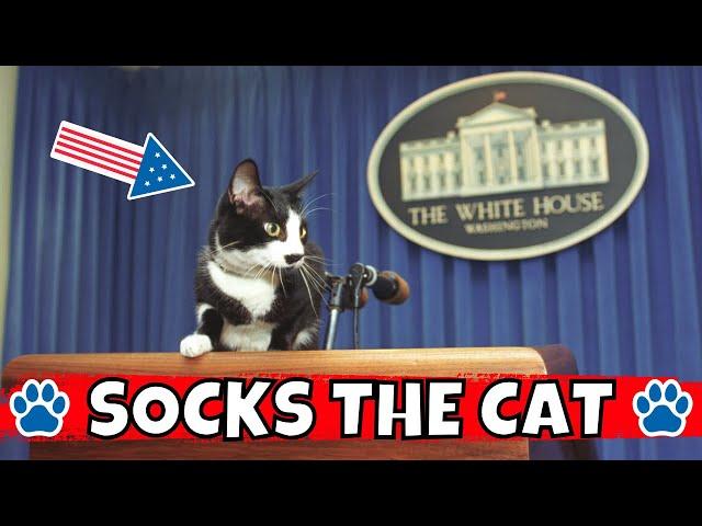 The Story of Socks the Cat: The Most Famous First Feline 