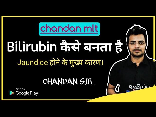 formation of bilirubin in hindi by chandan mlt