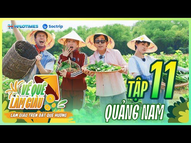Hari Won trở thành Đại sứ Lụa, Kim Tử Long lần đầu làm MC | VỀ QUÊ LÀM GIÀU - TẬP 11 | QUẢNG NAM